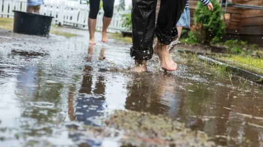 How to Prevent Flooding in Your Backyard