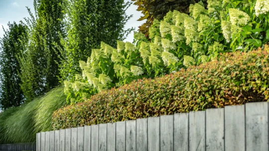 Commercial Retaining Walls: Durable Solutions for Long-Term Stability