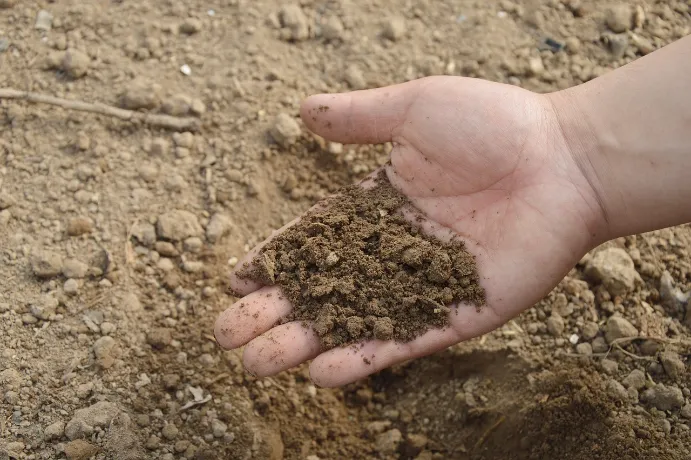 Long Island Soil Types and Their Effect on Building Foundations