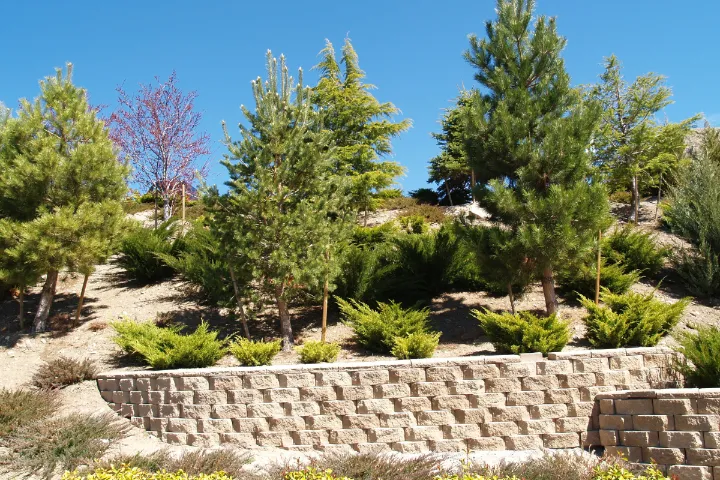 Coastal Retaining Walls - A Concrete Block Retaining Wall Build for Terracing on a Coastal Property